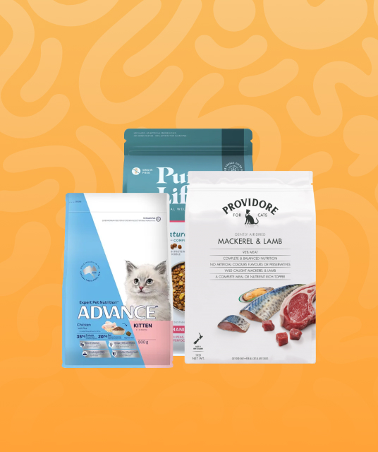 close-up of seat belt pets padded harness