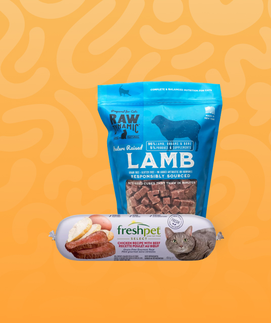 dog leas - Professional Guide and Review