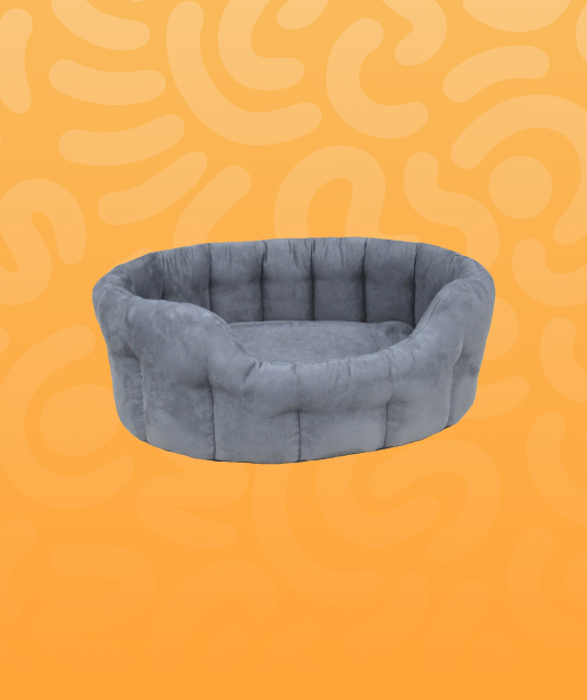 dog house brisbane comparison testing setup