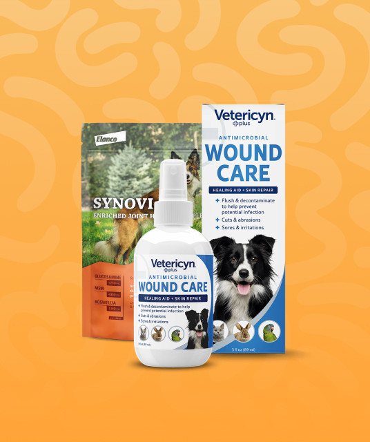 dog mats - Professional Guide and Review