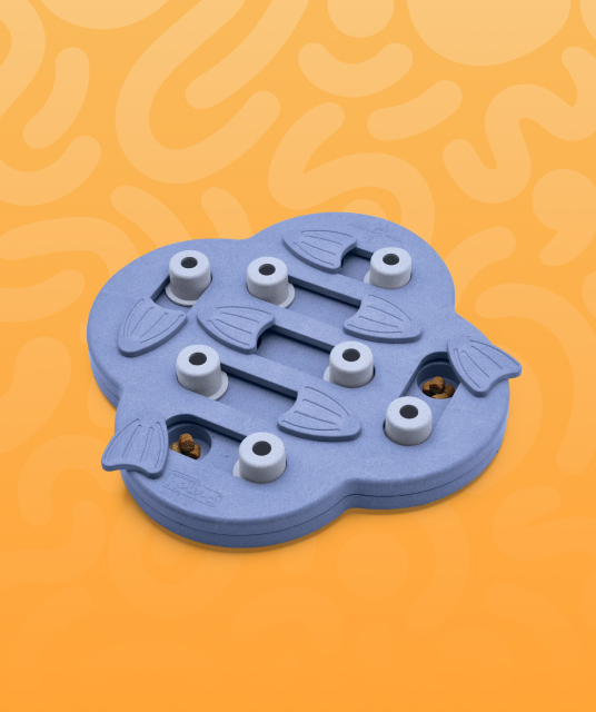 dog saddle bag - Australian dog wearing saddle bag on hiking trail