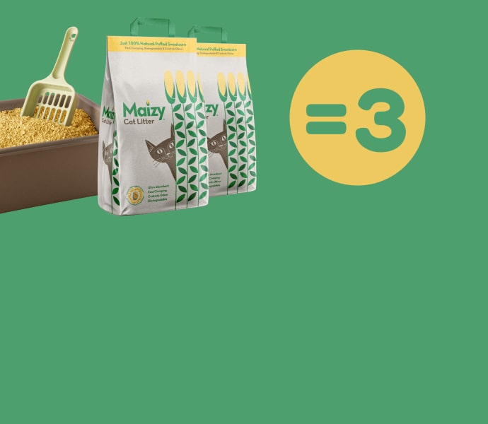 dog summer clothes - Dog summer clothes showing advanced cooling technology in Australian heat