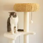 5-Platform Plush and Wicker Cat Tree - Image 3