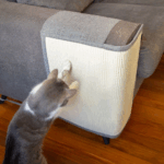 camo dog collars|cat id tag - Image 6