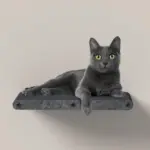 Cat Climber Set of 4 Shelves, Charcoal - Image 5