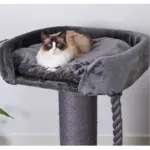 High Bed Scratching Post for Large Cats, Charcoal - Image 3