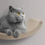 Cat Climber Set of 4 Shelves, Oatmeal - Image 4