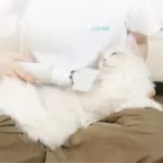 Uahpet Pet Hair Dryer for Dogs & Cats - Image 5