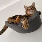 Cat Climber Set of 4 Shelves, Charcoal - Image 7