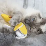 Yeowww Peeled Banana Cat Toy with Pure American Catnip - Image 2