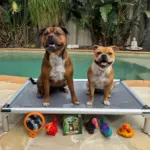 Black Friday Ultimate Bed Bundle - Image 2