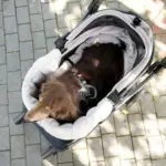 Ibiyaya All Season Pet Stroller Cushion Set, Earthy Brown - Image 5