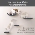 Cat Climber Short Steps (2), Charcoal - Image 2