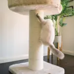 High Bed Scratching Post for Large Cats, Cream - Image 4