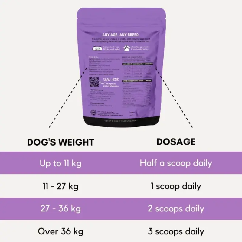 dog in seat belt - Professional Guide and Review