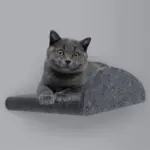 Cat Climber Set of 4 Facade Add-Ons, Charcoal - Image 6