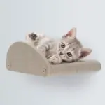 Cat Climber Set of 4 Facade Add-Ons, Oatmeal - Image 5