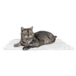 Chill Pad Dog Cooling Mat, Terrazzo - Image 3