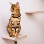 Cat Climber Short Steps (2), Oatmeal - Image 2