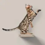 Cat Climber Short Steps (2), Oatmeal - Image 6