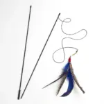 leather personalised dog collar|dog box covers