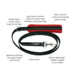 Tre Ponti Mesh Dog Lead, Red - Image 7