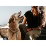 Hunter Dog Collar Amalfi, Tan - Image 6