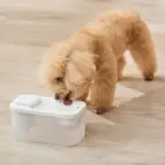 Michu Cordless Automatic Cat Water Fountain - Image 4