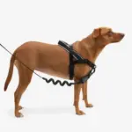 SofterWalk No Pull Dog Harness | Gotham - Image 8