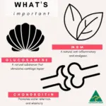 Petz Park Supplement For Dogs | Hip + Joint - Image 8