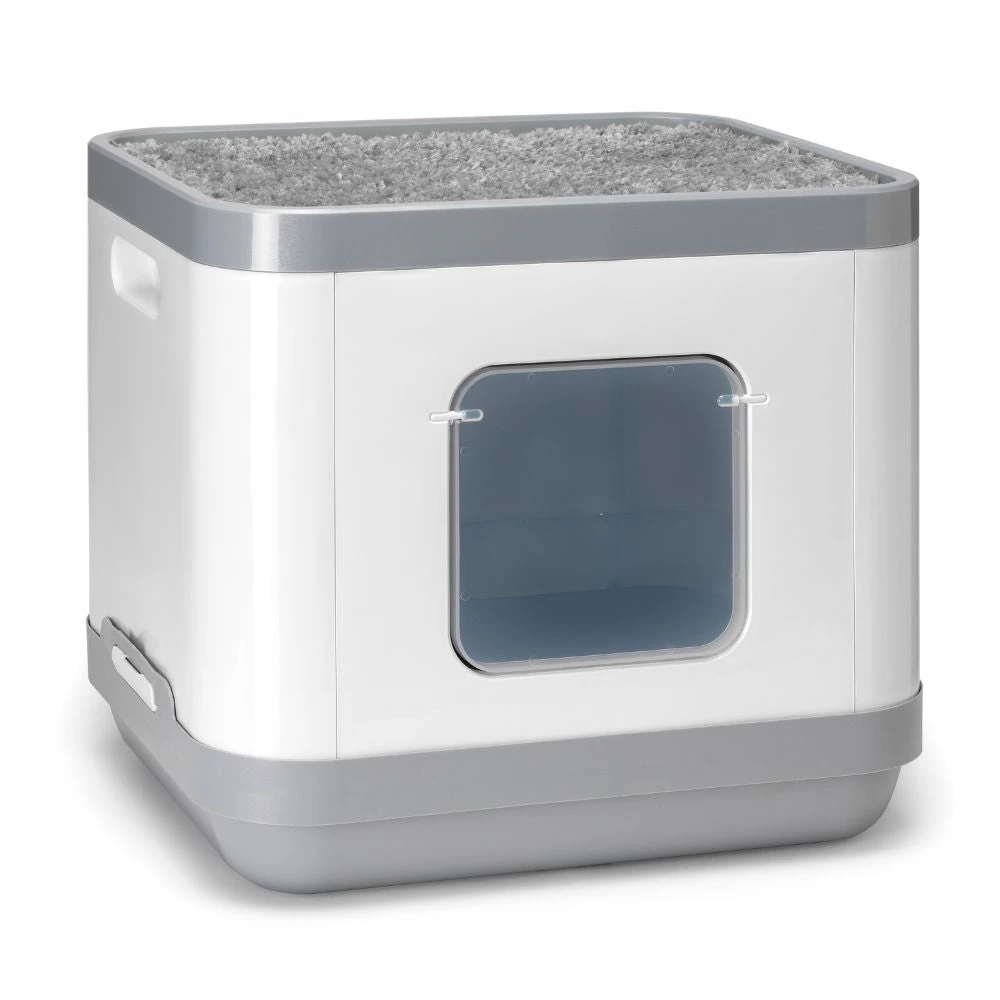 puppy car restraint - Professional Guide and Review