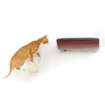 cat collar id tags - Professional Guide and Review