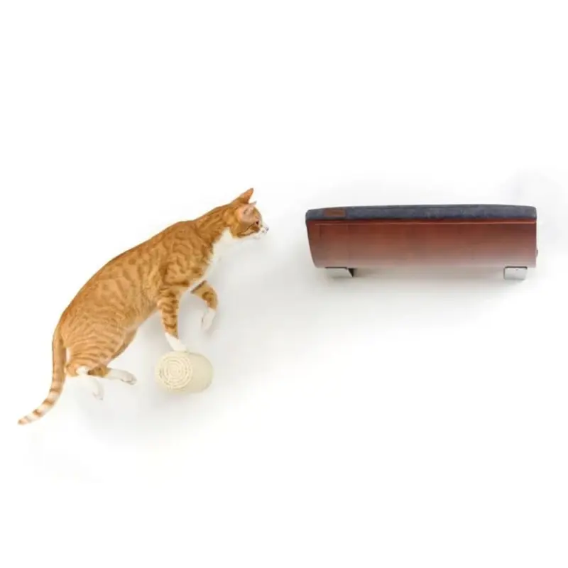 cat collar id tags - Professional Guide and Review