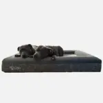 Deluxe Orthopedic Memory Foam Bed - Image 2