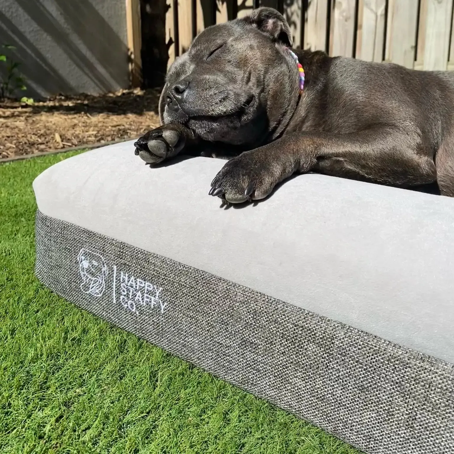 step-by-step jumbo cat litter box setup with litter mat
