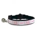 Personalised Cat Collar - Classic Chewnel - Image 3