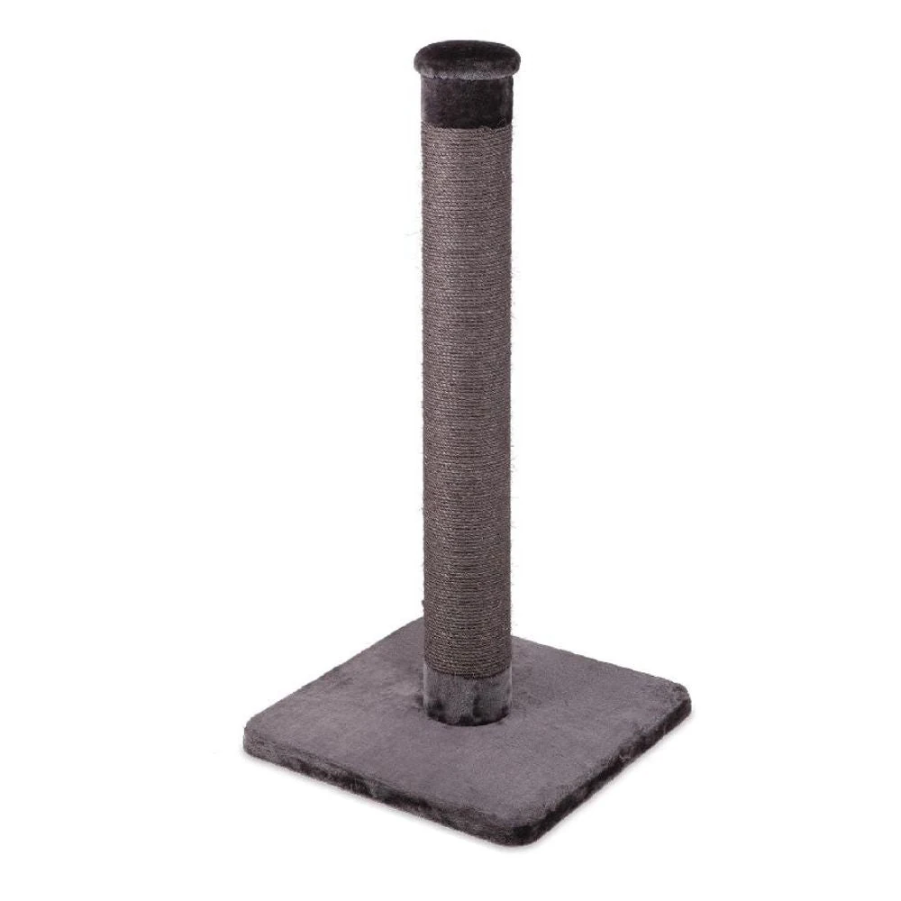cat doorway scratching post accessory