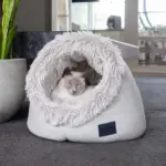 Calming Cat Dome, Aspen - Image 3