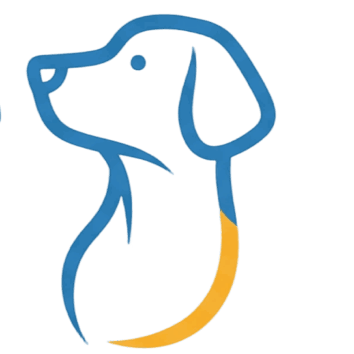 cyclist rinsing bicycle dog trailer after beach ride