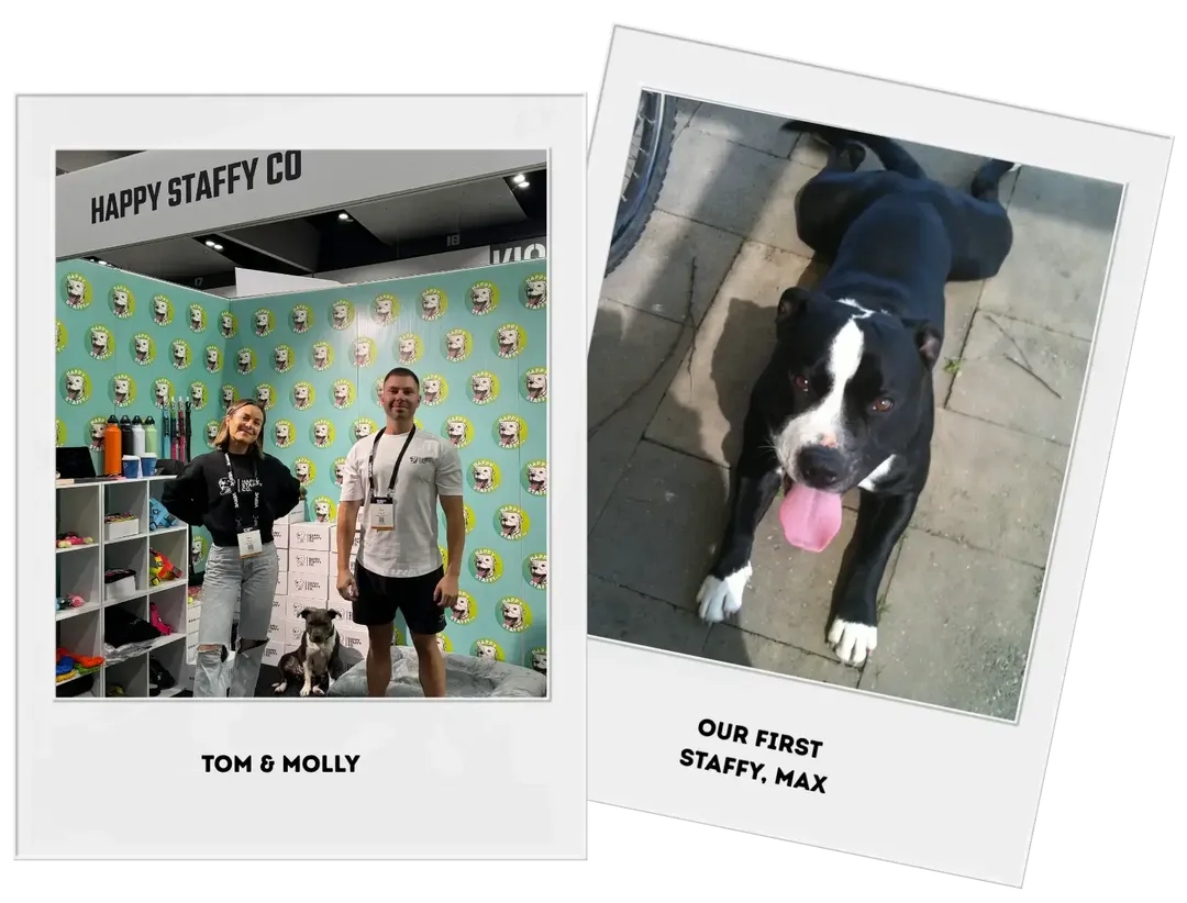 Close-up of safe dog saddle bag fitting and adjustment points