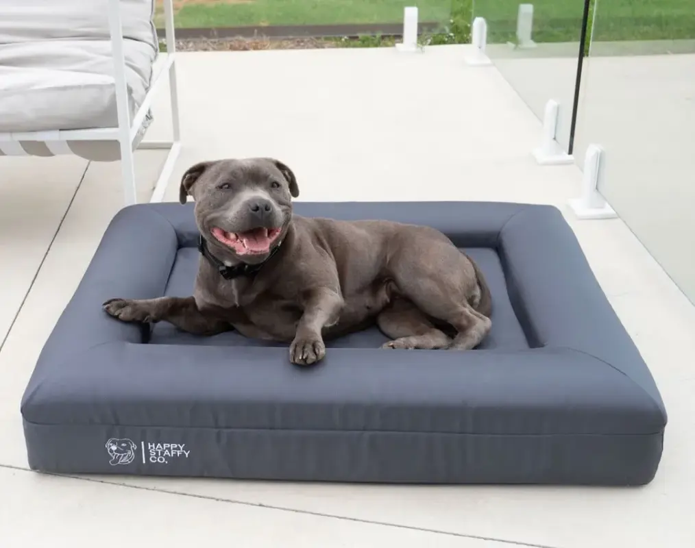 insulated dog houses - Professional Guide and Review