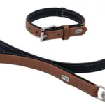 Hunter Canadian Elk Leather Dog Collar, Cognac - Image 7