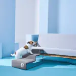 Ibiyaya Everest II Pet Stairs for Dogs & Cats, Nimbus Grey - Image 6