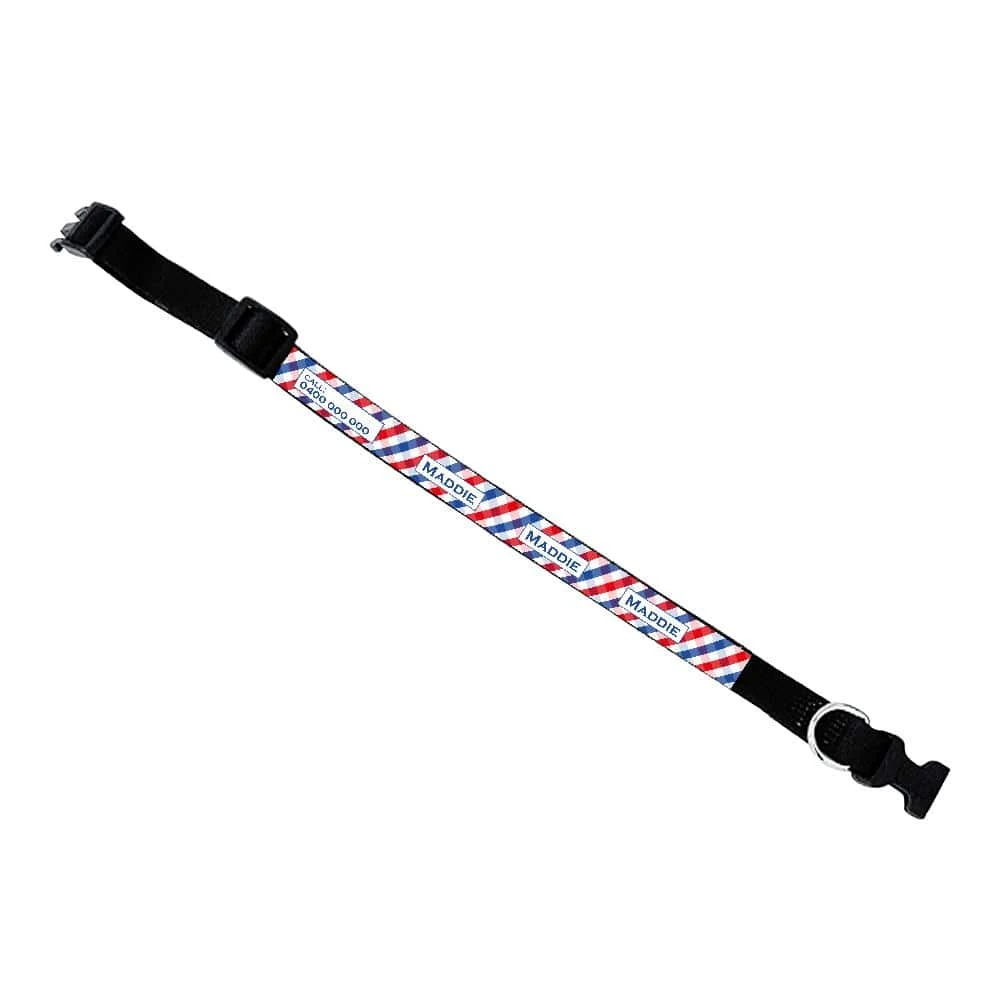 reflective stitching detail on dog coat and harness