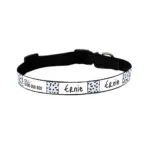 Personalised Dog Collar - Squiggle, Blue - Image 3