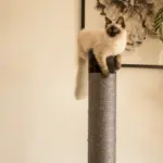 Cat Scratching Post, Charcoal - Image 6