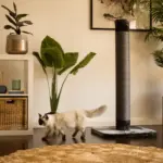 Cat Scratching Post, Charcoal - Image 2