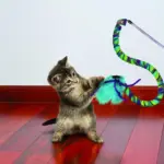 KONG Cat Toy - Curlz Teaser - Image 2