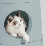 Mayitwill Cat Castle Semi Closed Litter Box, Morandi Green - Image 6