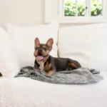 Calming Pet Blanket Water Resistant, Artic Faux Fur - Image 2